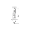 Bec halogen 24V - H1 - 70W - P14,5s 1buc Trifa