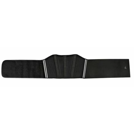 Brau protectie lombara motociclist T-Maxter