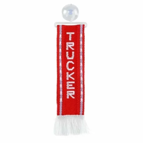 Fanion mic cu ventuza - Trucker