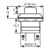 Intrerupator cu revenire 12V-24V 10A