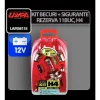 Kit becuri si sigurante 11buc, 12V - halogen H4 P43