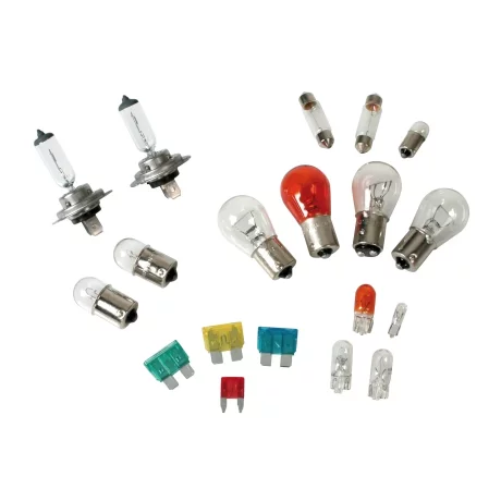 Kit becuri si sigurante 19buc, 12V - halogen 2xH7