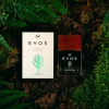 Odorizant auto parfum 50ml, Evos - Hunter