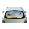 Parasolar spate cu ventuze Looney Tunes 1buc - Road Runner