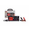 REDRESOR AKKUENERGY PRO 300 8A 12V