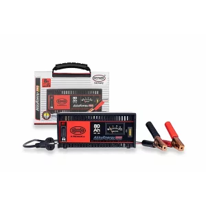 REDRESOR AKKUENERGY PRO 300 8A 12V