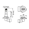 BEC 12V H10 42W PURE LIGHT BOSCH