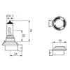 BEC 12V H11 55W PURE LIGHT BOSCH