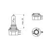 BEC 12V H15 15W / 55W PURE LIGHT BOSCH