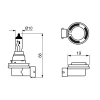 BEC 12V H16 19W PURE LIGHT BOSCH