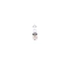 BEC 12V H21W 21W PURE LIGHT SET 10 BUC BOSCH