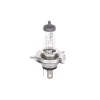 BEC 12V H4 60W / 55W PURE LIGHT BOSCH