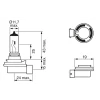 BEC 12V H8 35W PURE LIGHT BOSCH