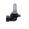 BEC 12V HIR2 55W PURE LIGHT BOSCH
