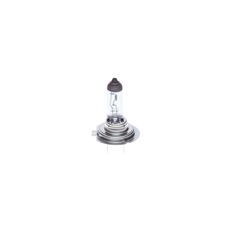 BEC 24V H7 70W ECO TRUCK BOSCH