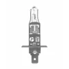 BEC FAR H1 24V P14.5s 70W NEOLUX