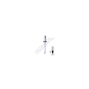 POPNIT ZINCAT FIAT RENAULT FORD 4.8MM SET 10 BUC