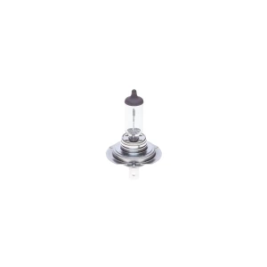 SET 2 BECURI 12V H7 55W PURE LIGHT BOSCH