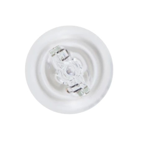 SET 2 BECURI 12V W16W 16W PURE LIGHT (blister) BOSCH