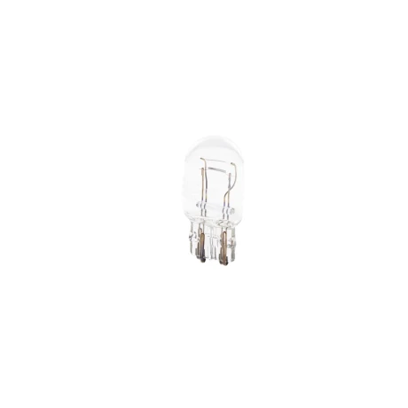 SET 2 BECURI 12V W21/5W 21W PURE LIGHT BOSCH