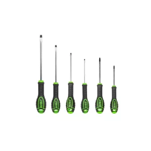 SET DE 6 SURUBELNITE (2 PHILIPS + 4 PLATE) JBM