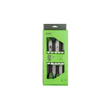 SET DE 6 SURUBELNITE (2 PHILIPS + 4 PLATE) JBM
