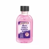 SOLUTIE CONCENTRATA CURATARE INSECTE GEAMURI 1L